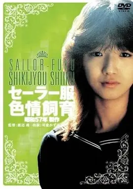 韩国爱情电影《狼少年》海报